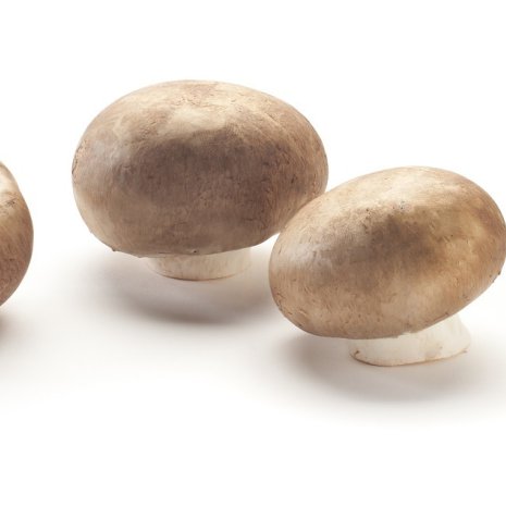 Kastanje-champignons