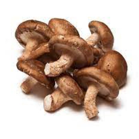 Shiitake