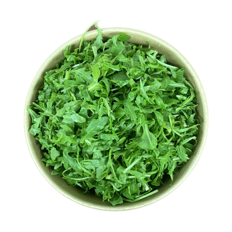Rucola