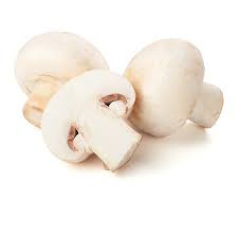 Witte champignons