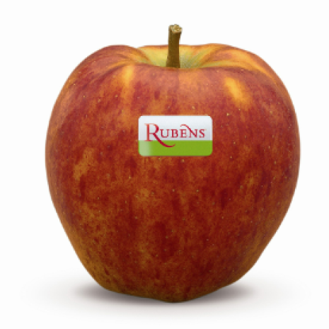 Appel Ruben