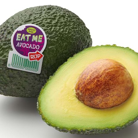 Avocado