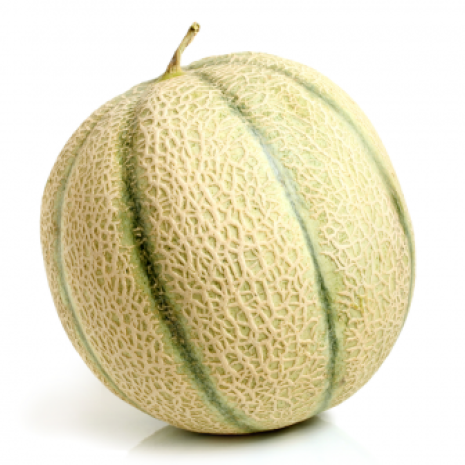 Meloen cantaloupe