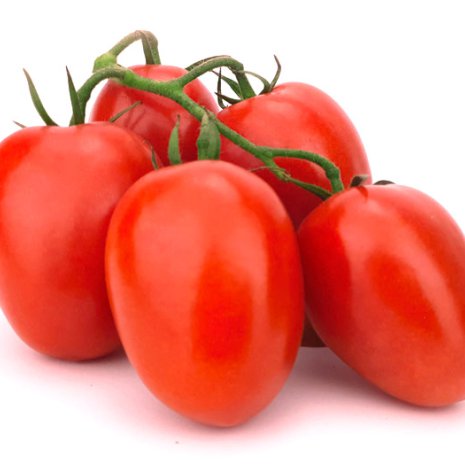 Tomaat pomodori