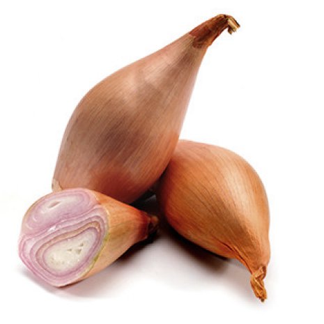 Sjalotten